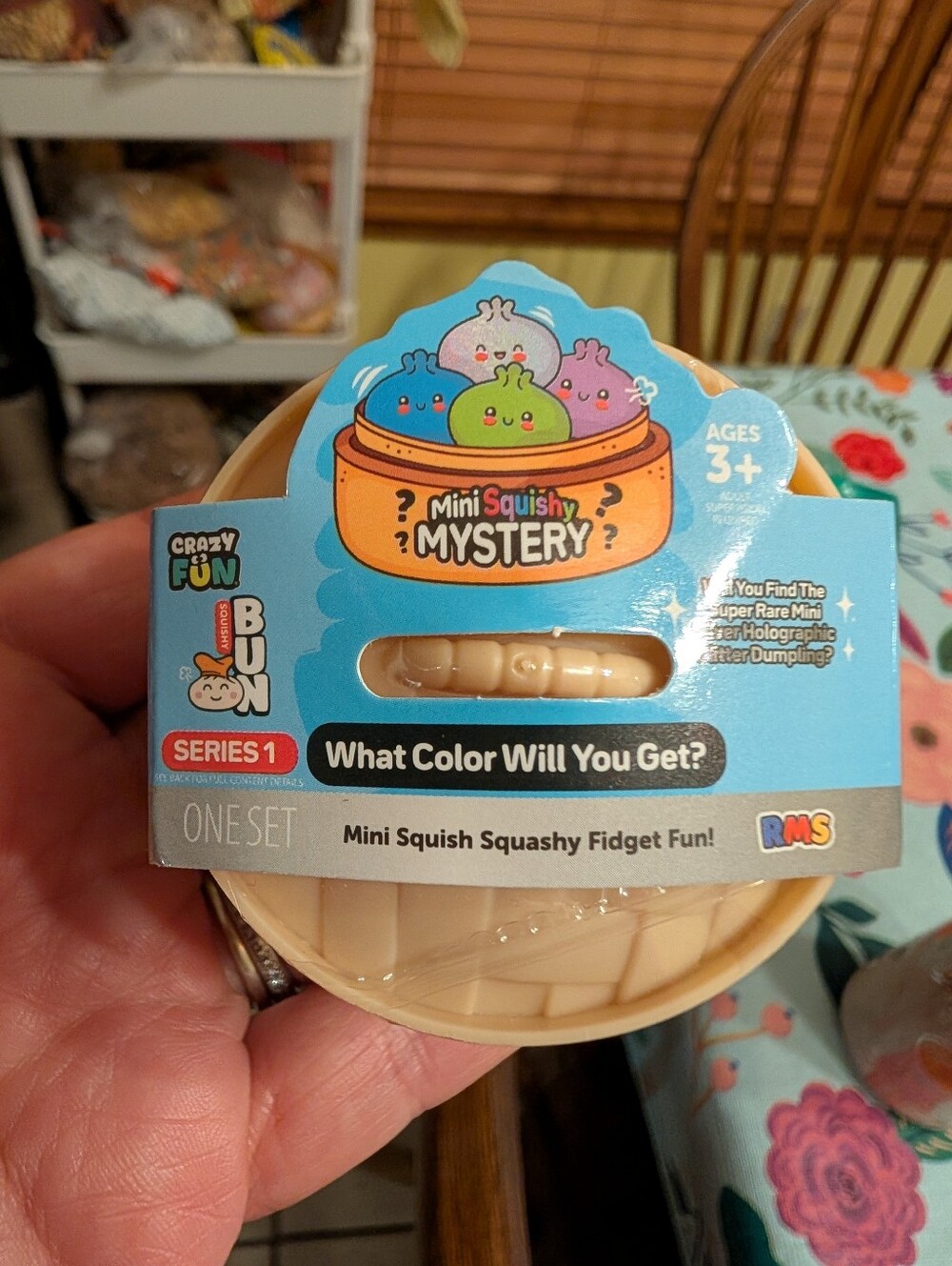 Mini Mystery Dumpling Sealed Series 1 NWT